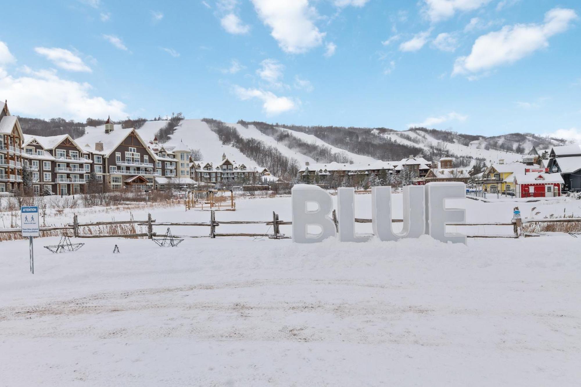 Willa Blue Mtn Getaway In Historic Snowbridge Chalet Collingwood Zewnętrze zdjęcie