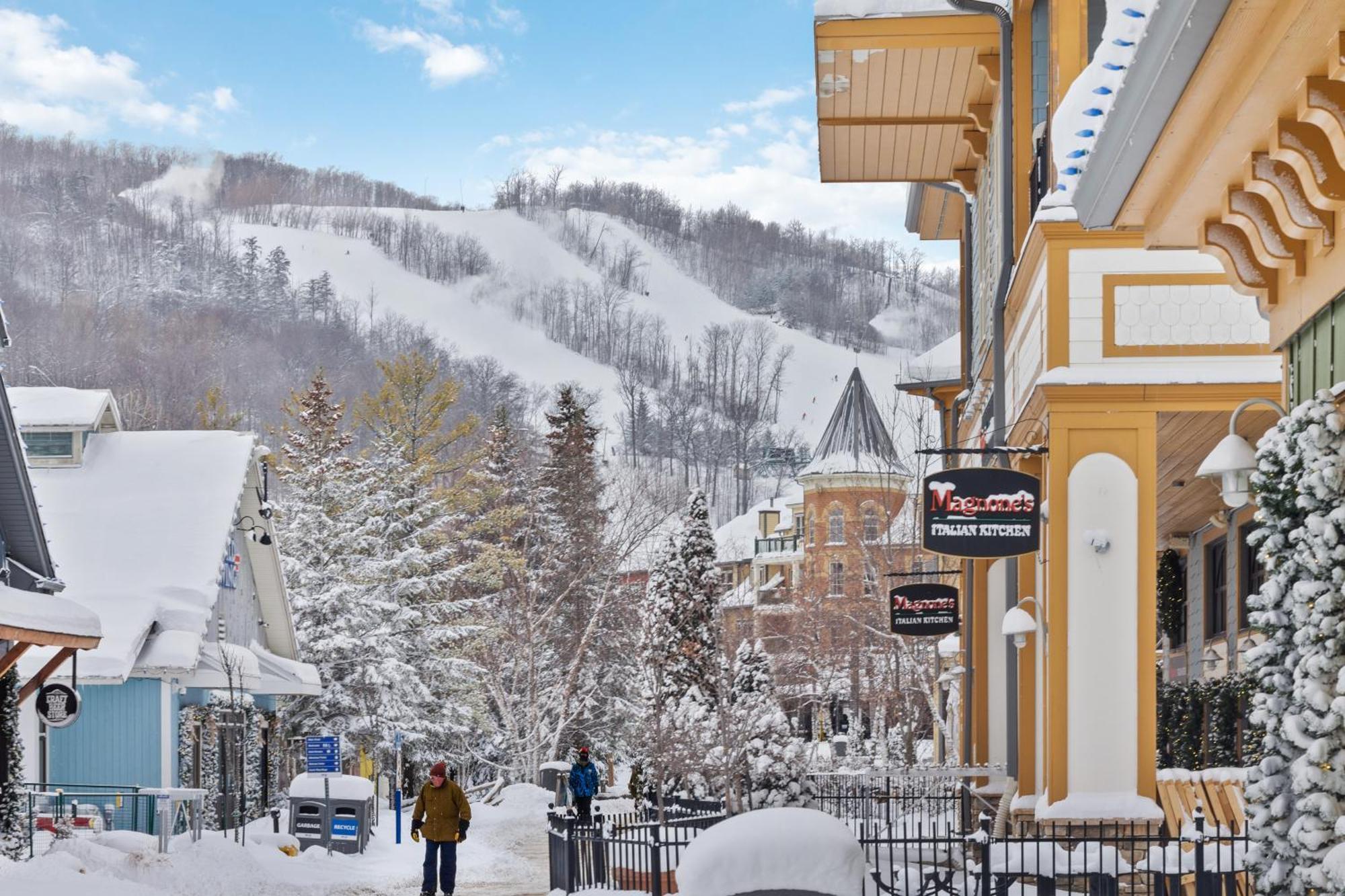 Willa Blue Mtn Getaway In Historic Snowbridge Chalet Collingwood Zewnętrze zdjęcie