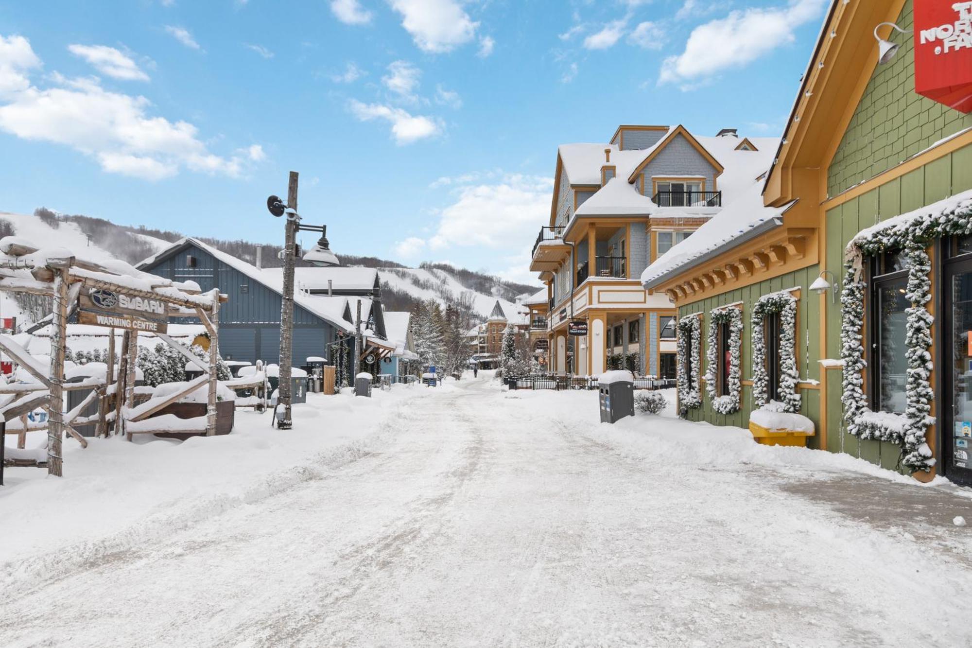 Willa Blue Mtn Getaway In Historic Snowbridge Chalet Collingwood Zewnętrze zdjęcie